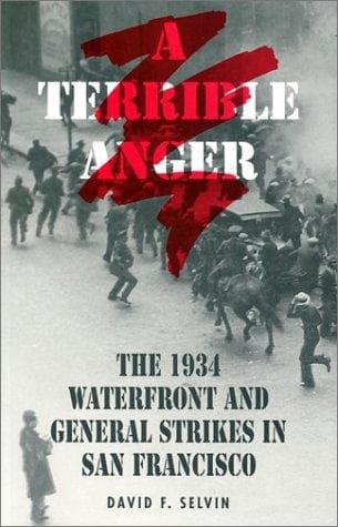 Cover of A terrible anger by David F. Selvin
