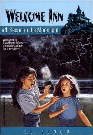 Cover of Secret in the moonlight by E. L. Flood