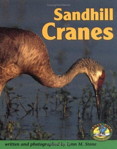 Cover of Sandhill cranes by Lynn M. Stone