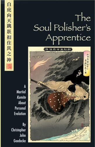 Cover of The soul polisher's apprentice by Christopher J. Goedecke