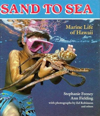 Cover of Sand to sea by Stephanie Feeney