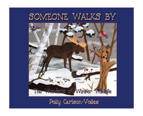 Cover of Someone walks by by Polly Carlson-Voiles