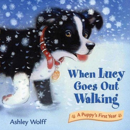 Cover of When Lucy goes out walking by Ashley Wolff