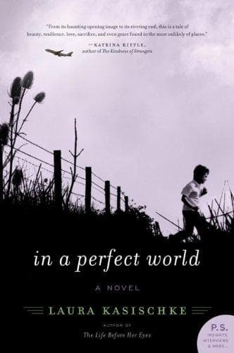 Cover of In a Perfect World by Laura Kasischke