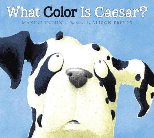 Cover of What color is Caesar? by Maxine Kumin