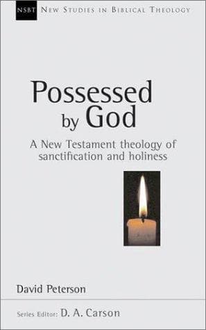 Cover of Possessed by God by David Peterson