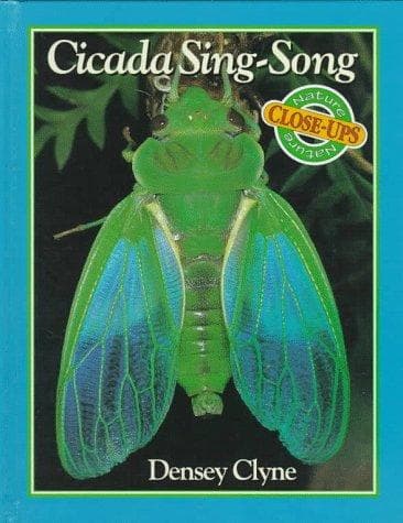 Cover of Cicada sing-song by Densey Clyne