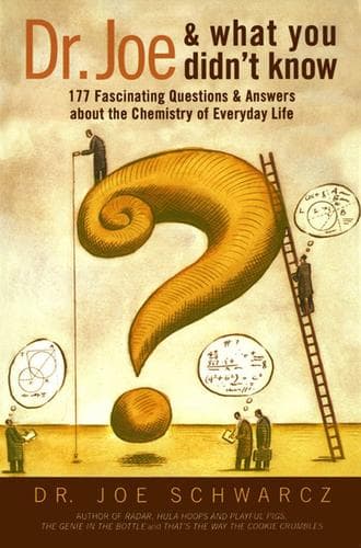 Cover of Dr. Joe and what you didn't know by Joseph A. Schwarcz