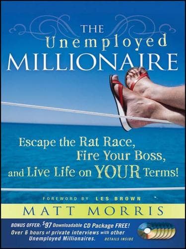 Cover of The unemployed millionaire by Matt Morris