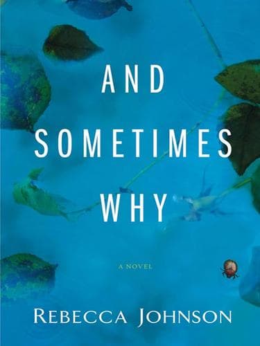 Cover of And sometimes why by Rebecca Johnson