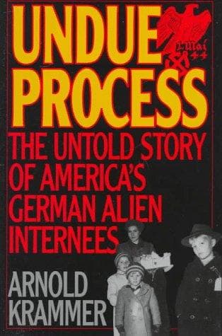Cover of Undue process by Arnold Krammer