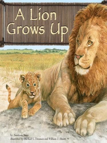 Cover of A Lion Grows Up (Wild Animals) by Anastasia Suen