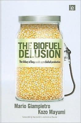 Cover of The biofuel delusion by M. Giampietro