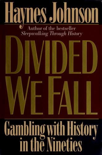 Cover of Divided we fall by Haynes Bonner Johnson