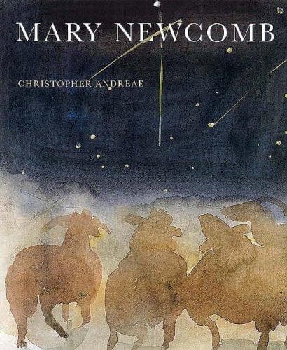 Cover of Mary Newcomb by Christopher Andreae