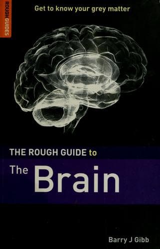 Cover of The rough guide to the brain by Barry J. Gibb
