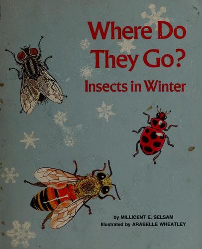 Cover of Where Do They Go by Millicent E. Selsam
