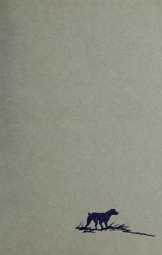 Cover of Run, Rainey, run by Mel Ellis