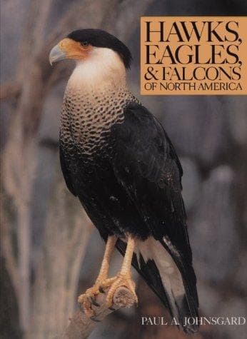 Cover of Hawks, eagles & falcons of North America by Paul A. Johnsgard