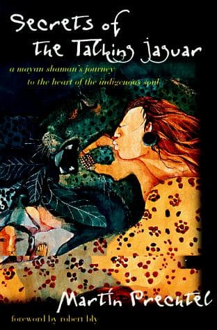 Cover of Secrets of the Talking Jaguar by Martín Prechtel