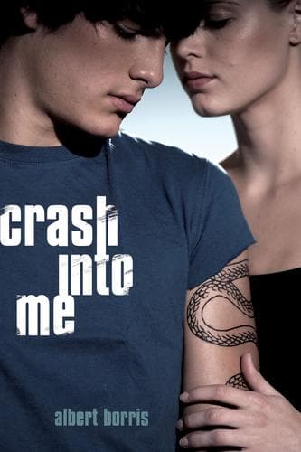 Cover of Crash into me by Albert Borris
