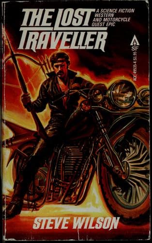 Cover of The lost traveller by Wilson, Steve