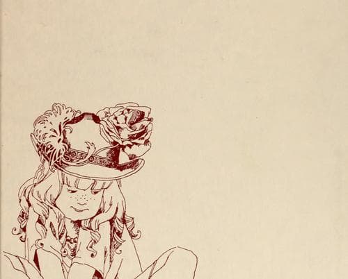 Cover of Megan's Two Houses by Erica Jong