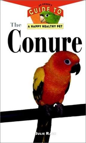 Cover of Conure by Julie R. Mancini