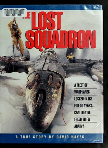 Cover of The lost squadron by David Hayes