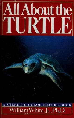 Cover of All about the turtle by William White