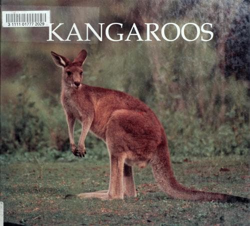 Cover of Kangaroos by Jenny Markert