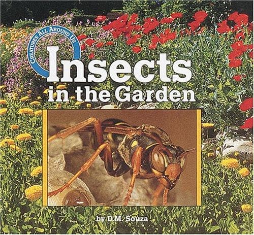 Cover of Insects in the garden by D. M. Souza