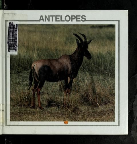 Cover of Antelopes by Lynn M. Stone