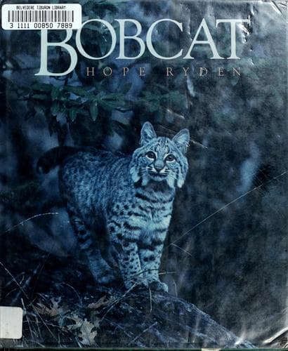 Cover of Bobcat by Hope Ryden