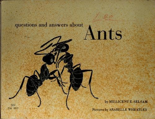 Cover of Questions and answers about ants by Millicent E. Selsam