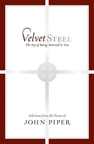 Cover of Velvet steel by John Piper