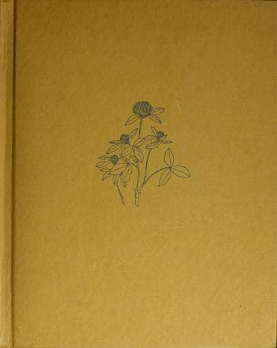 Cover of Rosachok by Boris Vladimirovich Zakhoder