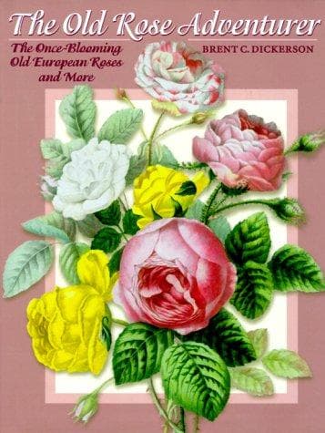 Cover of The Old Rose Adventurer by Brent C. Dickerson