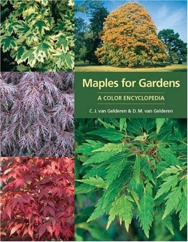 Cover of Maples for gardens by C. J. van Gelderen
