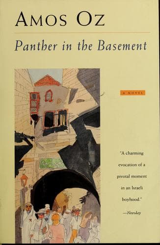 Cover of פנתר במרתף by עמוס עוז