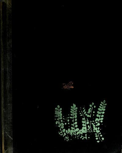 Cover of A Firefly Named Torchy by Bernard Waber