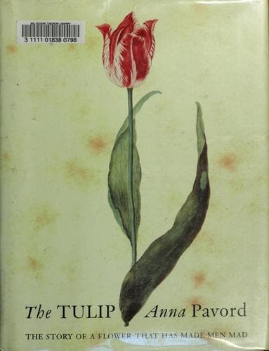 Cover of The tulip by Anna Pavord