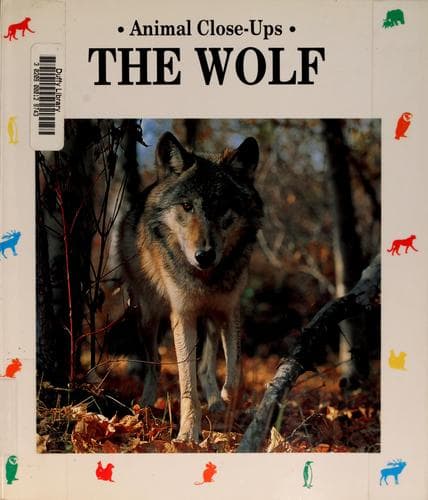 Cover of Loup, brigand de bois by Christian Havard