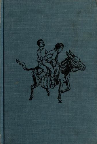Cover of The lost waters by Belle Dorman Rugh