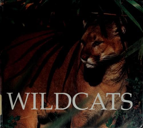 Cover of Wildcats by Jenny Markert