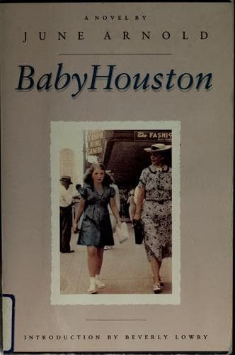 Cover of Baby Houston by June Arnold