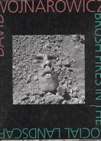 Cover of Brush Fires  in the Social Landscape by David Wojnarowicz