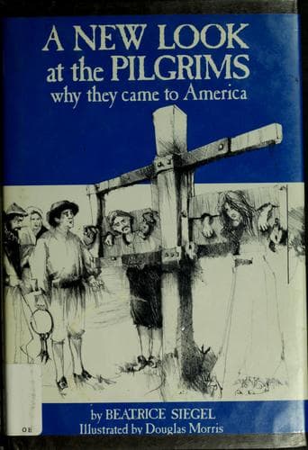 Cover of A new look at the Pilgrims by Beatrice Siegel