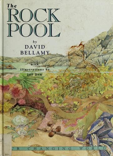 Cover of The rock pool by David J. Bellamy