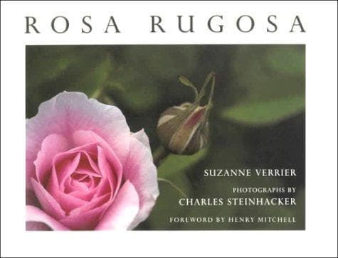 Cover of Rosa rugosa by Suzanne Verrier